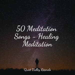 50 Meditation Songs - Healing Meditation - Yoga Trainer
