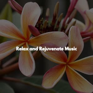 Relax and Rejuvenate Music - Spa Day At Home