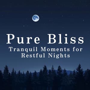 Pure Bliss: Tranquil Moments for Restful Nights - Relaxing Piano Crew