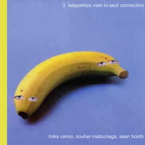 3. Telepathics Meh In-sect Er Connection - Mika Vainio