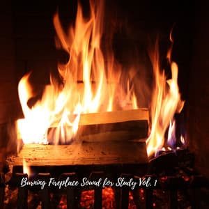Burning Fireplace Sound for Study Vol. 1 - Einstein Study Music Experience