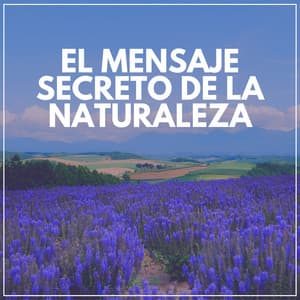 El Mensaje Secreto de la Naturaleza - Sonidos de la Naturaleza para Dormir