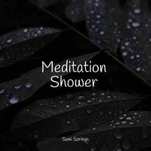 Meditation Shower - Fabricantes De Lluvia
