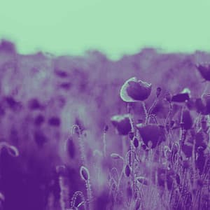 Music for Serious Sessions - Jazz-hop - Lofi Cafe