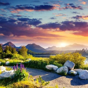 Sculpted by Nature: A Melodic Journey Unfolds - Natures DNA