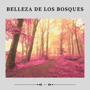 Belleza de los Bosques - Ruidos de la Selva