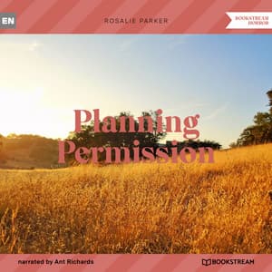 Planning Permission - Ant Richards