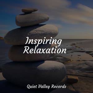 Inspiring Relaxation - Binaural Beats Brain Waves Isochronic Tones Brain Wave Entertainment