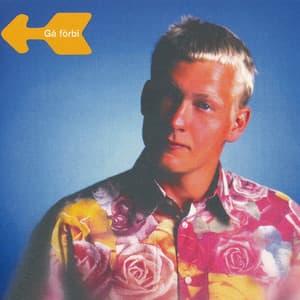 Gå Förbi - Henrik Wallgren