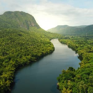 Streamside Echoes: Sounds of Nature's Flow - Water Effects Center