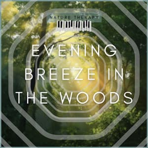 Evening Breeze in the Woods - Nature Therapy