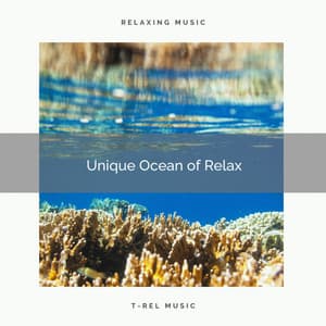 Unique Ocean of Relax - Ocean Vacation
