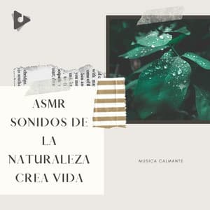 ASMR Sonidos de la Naturaleza Crea Vida - Música Calmante