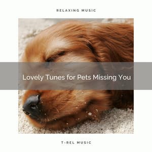 2021: Lovely Tunes for Pets Missing You - Sleeping Music For Dogs
