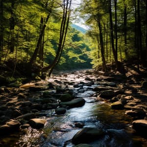 Sinfonía De La Naturaleza: Un Viaje Acústico - Biblioteca de muestras ambientales
