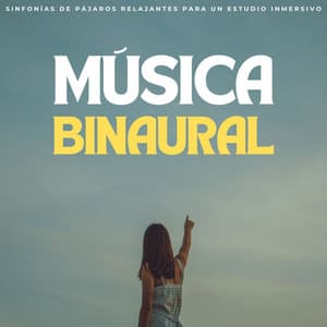 Música Binaural: Sinfonías De Pájaros Relajantes Para Un Estudio Inmersivo - Ritmos binaurales Estudiar música