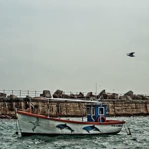 Jazz auf gleich - elo