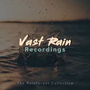 Vast Rain Recordings - The Rainforest Collective