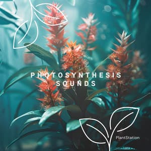 Photosynthesis Sounds: Rhythms for Plant Life - PlantStation