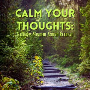 Calm Your Thoughts: Nature's Mindful Sound Retreat - Gentle Outdoors