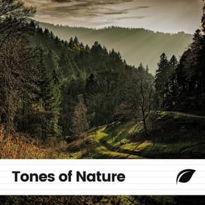 Tones of Nature - Actors of Nature