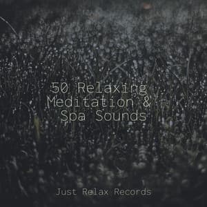 50 Relaxing Meditation & Spa Sounds - Schlaflieder Für Kinder