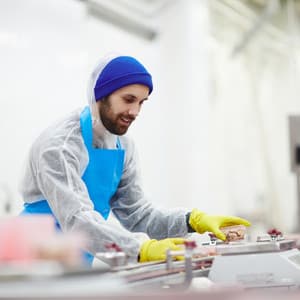 Lofi Workday: Calm Melodies for Productivity - Lofi for Coding