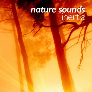 Nature Sounds: Inertia - The Calming Sounds Of Nature