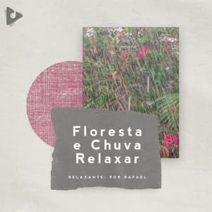 Floresta e Chuva Relaxar - Hipnose Natureza Sons Coleção