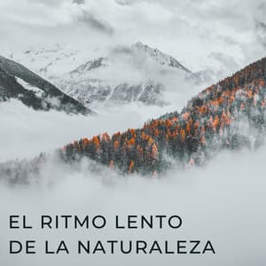 El Ritmo Lento De La Naturaleza - Sonidos de la naturaleza con música