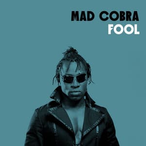 Fool - Mad Cobra