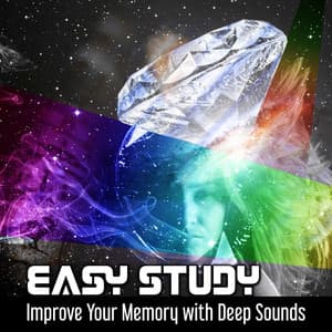 Easy Study - Exam Study Music Academy