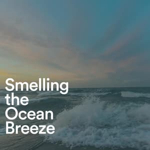 Smelling the Ocean Breeze - Ocean in HD