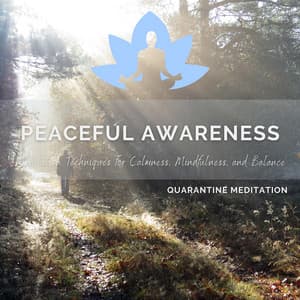Peaceful Awareness - Meditation Techniques for Calmness, Mindfulness, and Balance - Quarantine Meditation