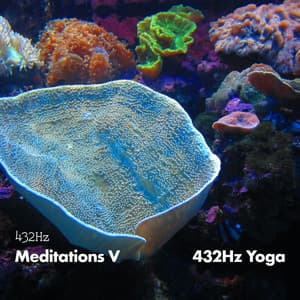 432HZ Meditations V - 432Hz Yoga
