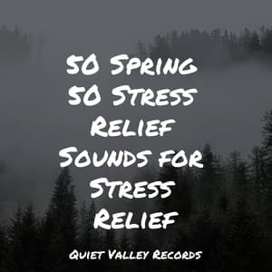 50 Spring 50 Stress Relief Sounds for Stress Relief - Sleep Tight