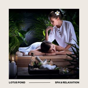 Lotus Pond: Tranquil Spa Music - Spa & Relaxation