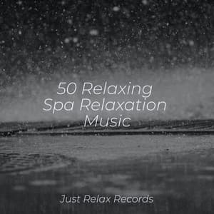 50 Relaxing Spa Relaxation Music - Rest & Relax Nature Sounds Artists