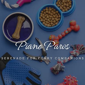 Piano Paws: Harmonic Nature for Pets - Piano Harmony
