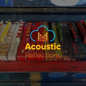# Acoustic Reflections - Zumoberry