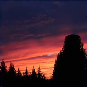 Wind Chimes - Namaste