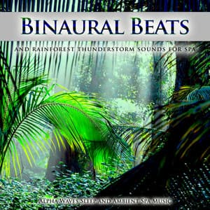 Binaural Beats and Rainforest Thunderstorm Sounds For Spa, Alpha Waves Sleep and Ambient Spa Music - Binaural Beats Spa