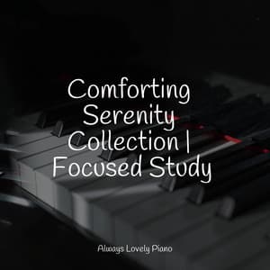 The Best Mindfulness Music for Relaxation - Piano para Dormir