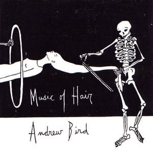 Music of Hair - Andrew Bird
