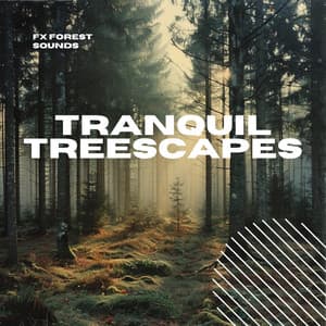 Tranquil Treescapes: Serenade of Nature - FX Forest Sounds