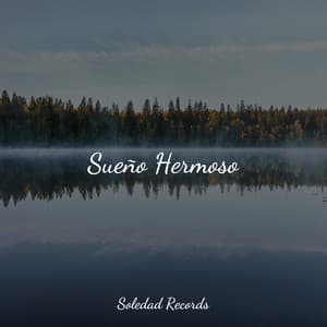 Sueño Hermoso - Nature Sounds