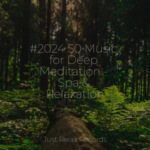 #2024 50 Music for Deep Meditation - Spa & Relaxation - Musica para Bebes