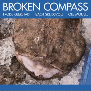Broken Compass - Frode Gjerstad