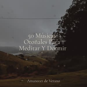 50 Músicas Otoñales Para Meditar Y Dormir - Deep Sleep Relaxation
