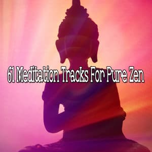 61 Meditation Tracks For Pure Zen - Zen Meditation and Natural White Noise and New Age Deep Massage